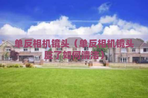单反相机镜头(单反相机镜头脏了如何清洁)